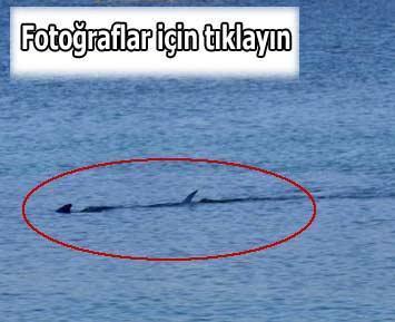 Milliyet