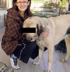 Köpeğe 3 gün boyunca tecavüz etti