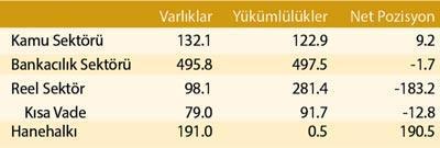 Reel sektörün açık pozisyonu