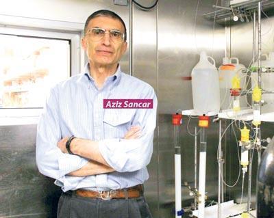 MARDİNLİ PROFESÖR GİBİ OLACAK