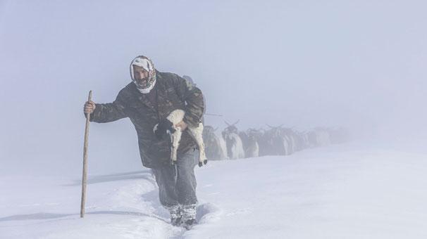 BBP Genel Başkanı Destici, AA Yılın Fotoğrafları oylamasına katıldı