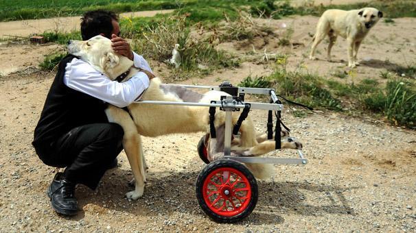 İçişleri Bakanı Soylu, AA Yılın Fotoğrafları oylamasına katıldı