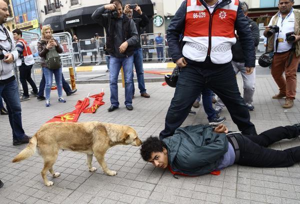 Günün fotoğrafı A.Adan