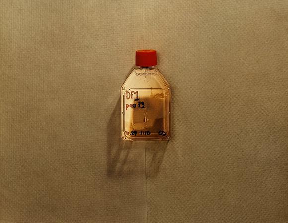 Amerikanın en az bilinen tesisleri