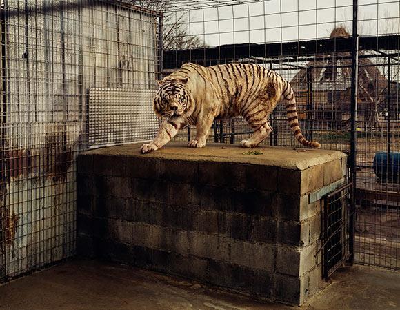 Amerikanın en az bilinen tesisleri