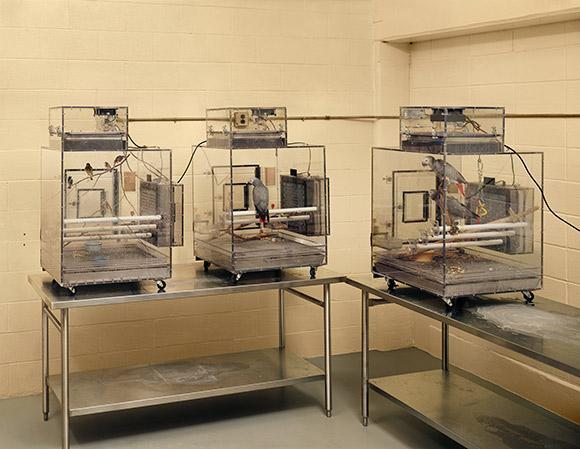 Amerikanın en az bilinen tesisleri