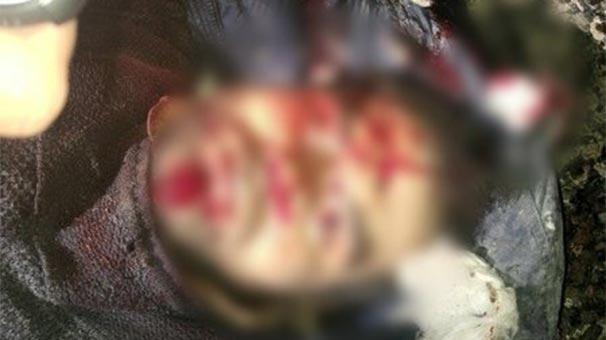 Biri mavi kategoride 4 PKKlı terörist etkisiz hale getirildi