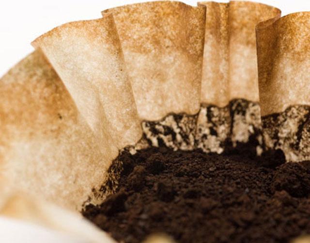 Pireleri uzak tutar Pireleri uzak tutar