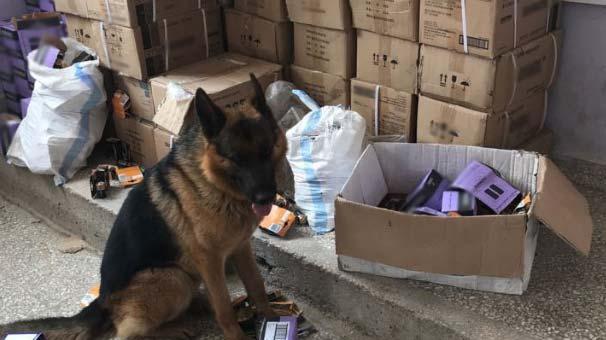 Son dakika... Tsk açikladi! Meti̇ timleri ele geçirdi: tam 19 bin adet...
