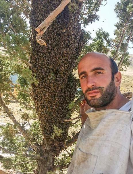 'Arı Adam' Guinness'e girmek istiyor - Son Dakika Haberleri Milliyet