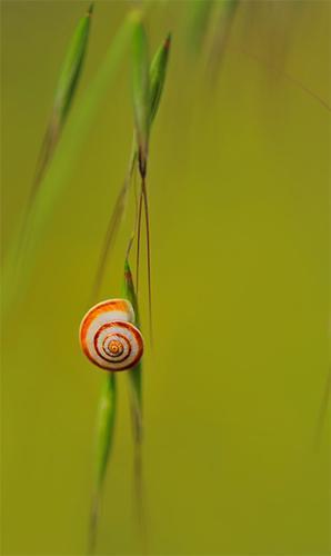 Doğa Kategorisinde 3üncülüğü alan fotoğraf - Ahmet Çetin