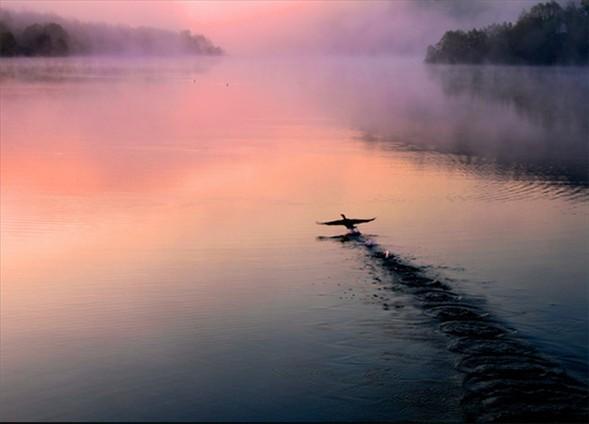 Geçtiğimiz yıl ödül kazanan diğer fotoğraflar...Doğa kategorisinde 1inciliği alan fotoğaraf - Erdeğan Özer