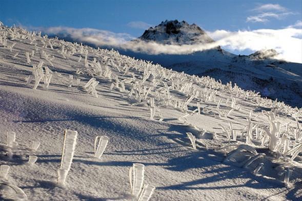 DOĞA - İKİNCİ Nihat Karakaya, Kayseri, 2010