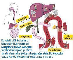 Kolesterole yeni ilaçlar