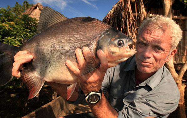 10 Ikan Paling Berbahaya & Mematikan di Dunia