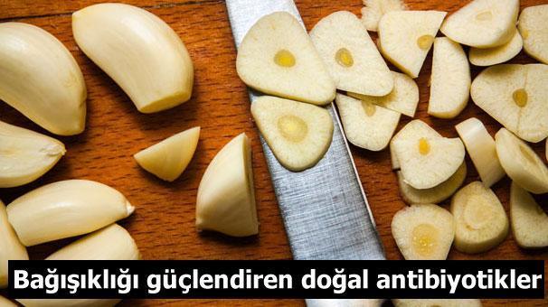 Bakan Akdağ: Doktor hızlı test sonucuna göre antibiyotik verecek