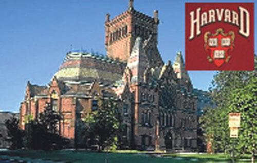 Canlı bomba ve Harvard