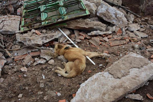 Son Dakika: Çanakkalede bir deprem daha