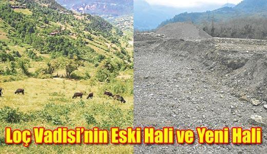 İki resim arasındaki 7 fark