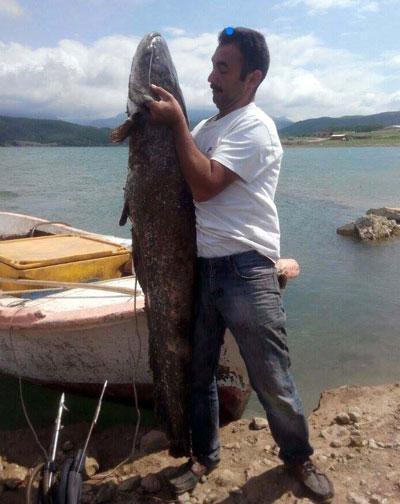 80 kiloluk balığı oltayla yakaladı