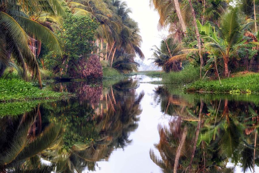 Puerto rican billionaire H3 image