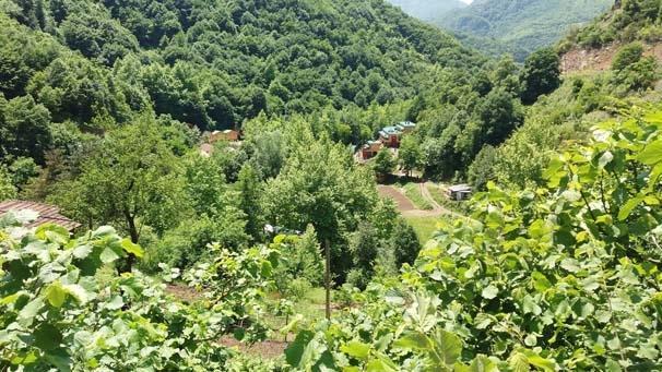 Yuvacık Barajı çevresindeki tesislerin yıkımında biber gazlı müdahale