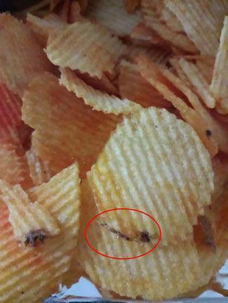 Cips paketinin içinden böcek çıktı