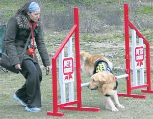 Bir “Agility Semineri”nin kazandırdıkları