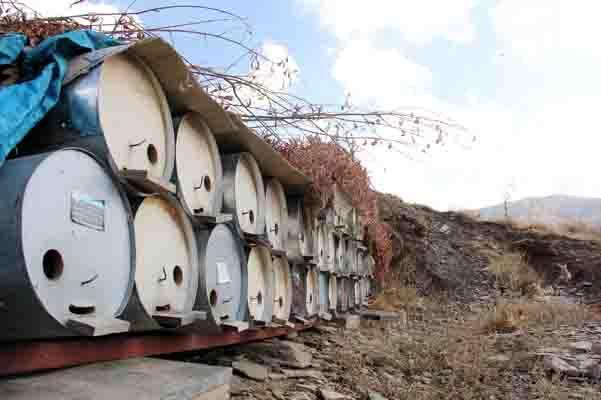 Karakovan balının hasadına başlandı