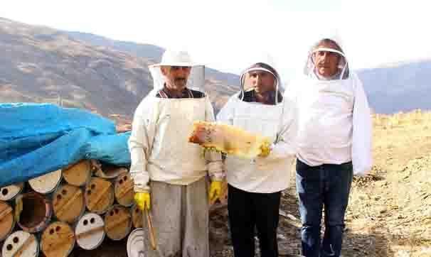 Karakovan balının hasadına başlandı