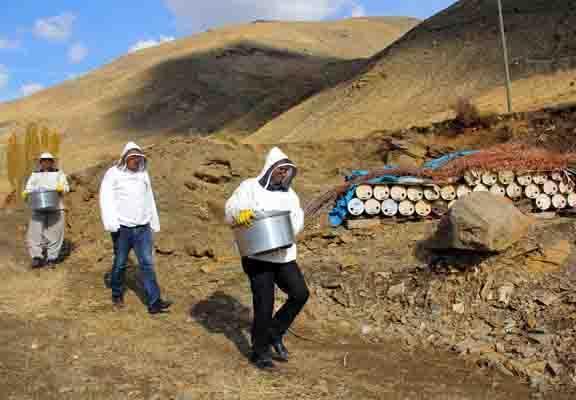 Karakovan balının hasadına başlandı