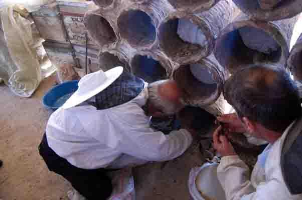 Karakovan balının hasadına başlandı