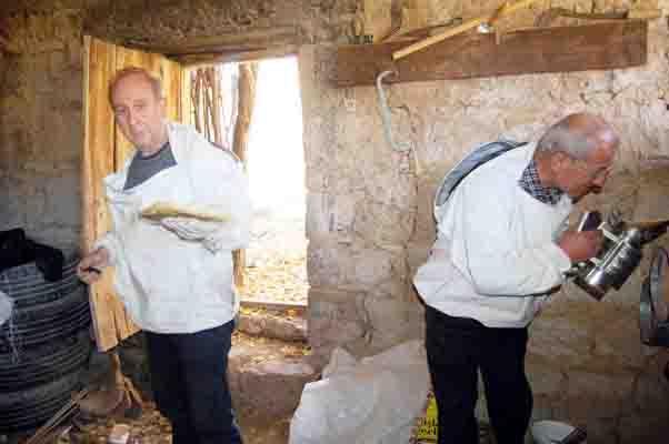 Karakovan balının hasadına başlandı