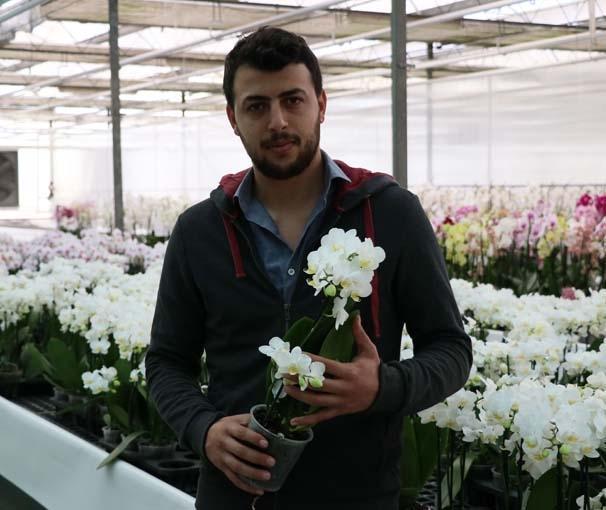 Orkide ithalatına Adana’dan yerli ve milli çözüm