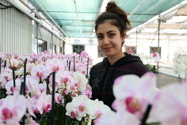 Orkide ithalatına Adana’dan yerli ve milli çözüm