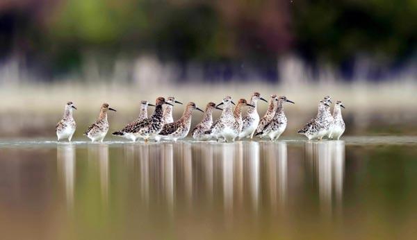 Burdur Gölü için 1 milyon kişi seferber oldu