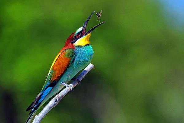 Burdur Gölü için 1 milyon kişi seferber oldu