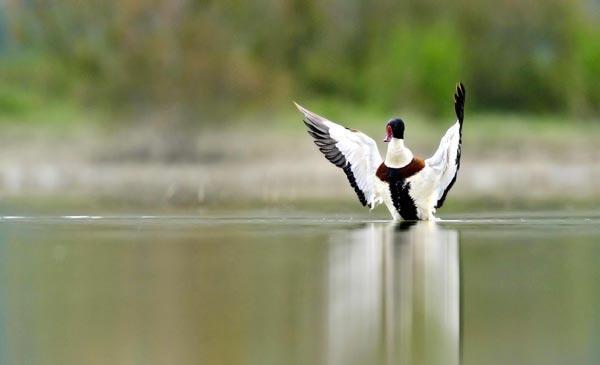 Burdur Gölü için 1 milyon kişi seferber oldu