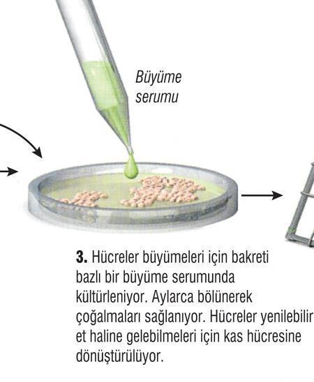 Laboratuvar eti yakında marketlerde