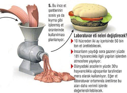 Laboratuvar eti yakında marketlerde