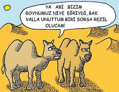 Devenin gazı