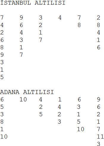6 günde 4 altılı