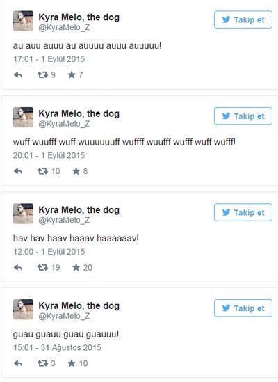 Felipe Melo, köpeği adına Twitter hesabı açtı