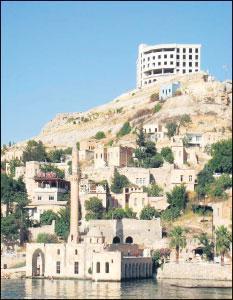 Çok tarafsızlar