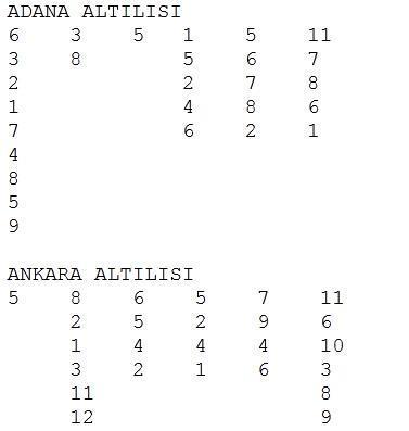 Atakanbey formda