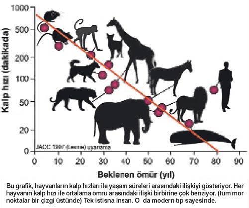 Hızlı kalp hayra alamet değil