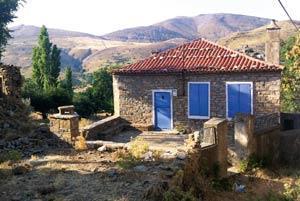 Madem burnumuzun dibinde ıssız bir ada var...