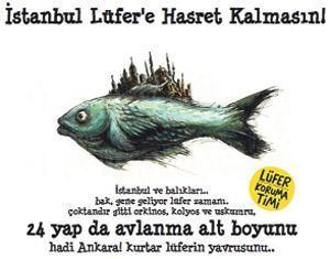 Çiftlik balığı ve ithal balık olmasa balık yiyemeyeceğiz...