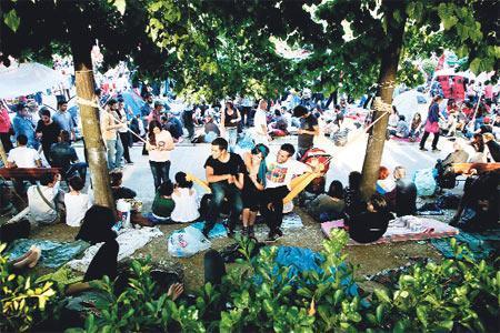 ŞENLİK VE ŞİDDET