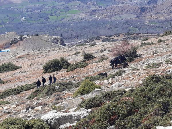 Kayıp Öznur ve Gökhan, uçuruma yuvarlanan cipte ölü bulundu